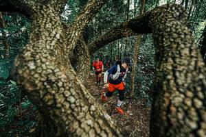 BIB: 
                            <button type="button" onclick="openModal(25392614)" class="btn btn-primary btn-sm float-right btn-popup" data-toggle="modal" data-target=".modal-high-quality">
                        <i class="fas fa-shopping-cart"></i> Add to Cart
                    </button>
                                            <button type="button" onclick="isThisMe(25392614, true)" class="btn btn-success btn-sm float-right btn-popup btn-isme hidden" data-toggle="tooltip" data-placement="bottom" title="นี่คือรูปของคุณใช่ไหม คลิกที่นี่เพื่อเอาเข้าอัลบั้ม">
                        <i class="fas fa-plus"></i> Add to album
                    </button>
                    <button type="button" onclick="isThisMe(25392614, false)" class="btn btn-warning btn-sm float-right btn-popup btn-isnotme hidden">
                        <i class="fas fa-ban"></i> Remove from album
                    </button>